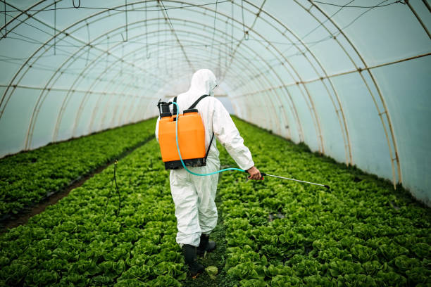 Best Pest Removal Services  in West Livingston, TX