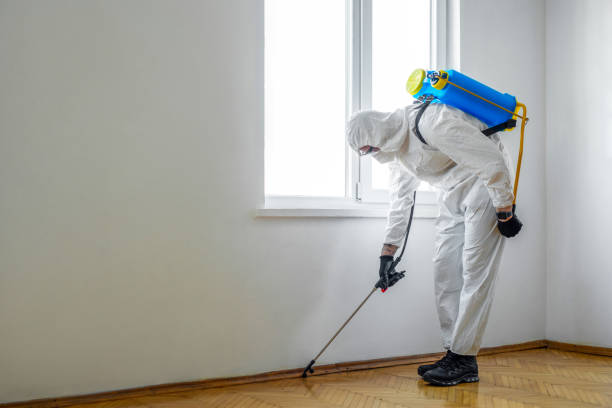 Best Pest Prevention Services  in West Livingston, TX