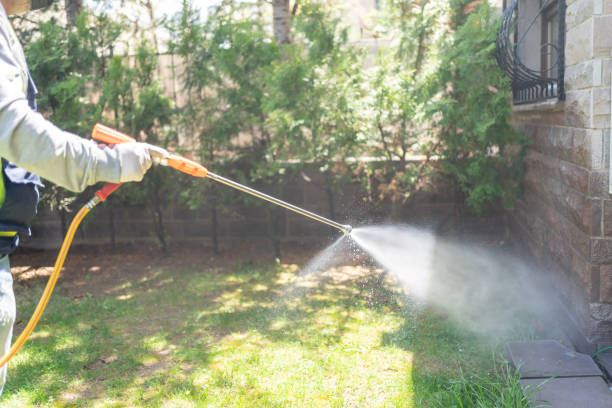 Best Spider Control Near Me  in West Livingston, TX