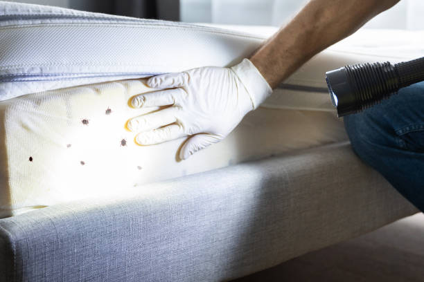 Best Best Pest Control Companies  in West Livingston, TX