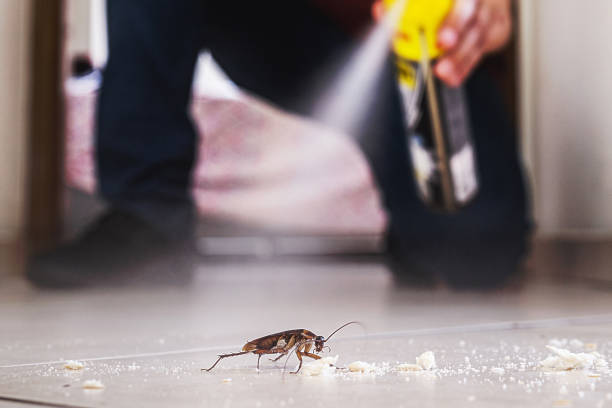 Best Exterminator Services  in West Livingston, TX