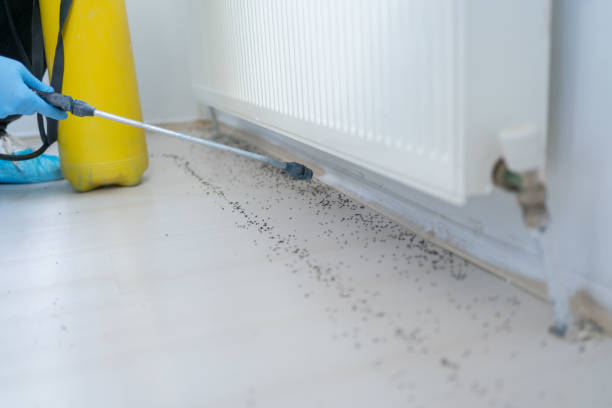 Best Termite Control Services  in West Livingston, TX