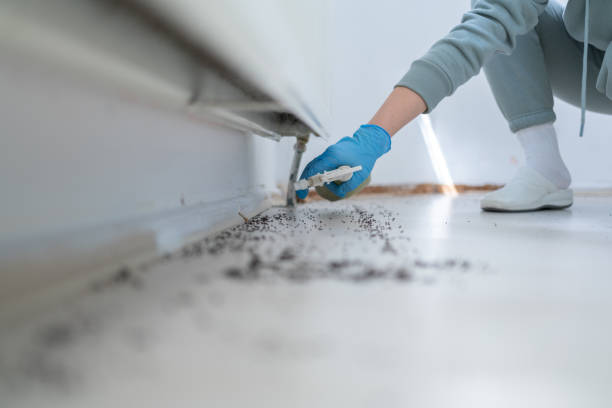 Trusted West Livingston, TX Pest Control Experts